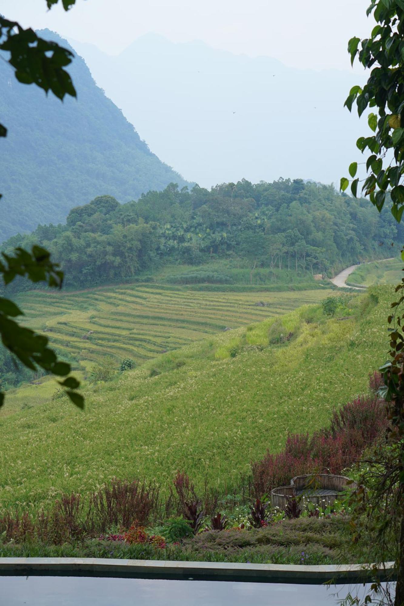 Pu Luong Natura Экстерьер фото