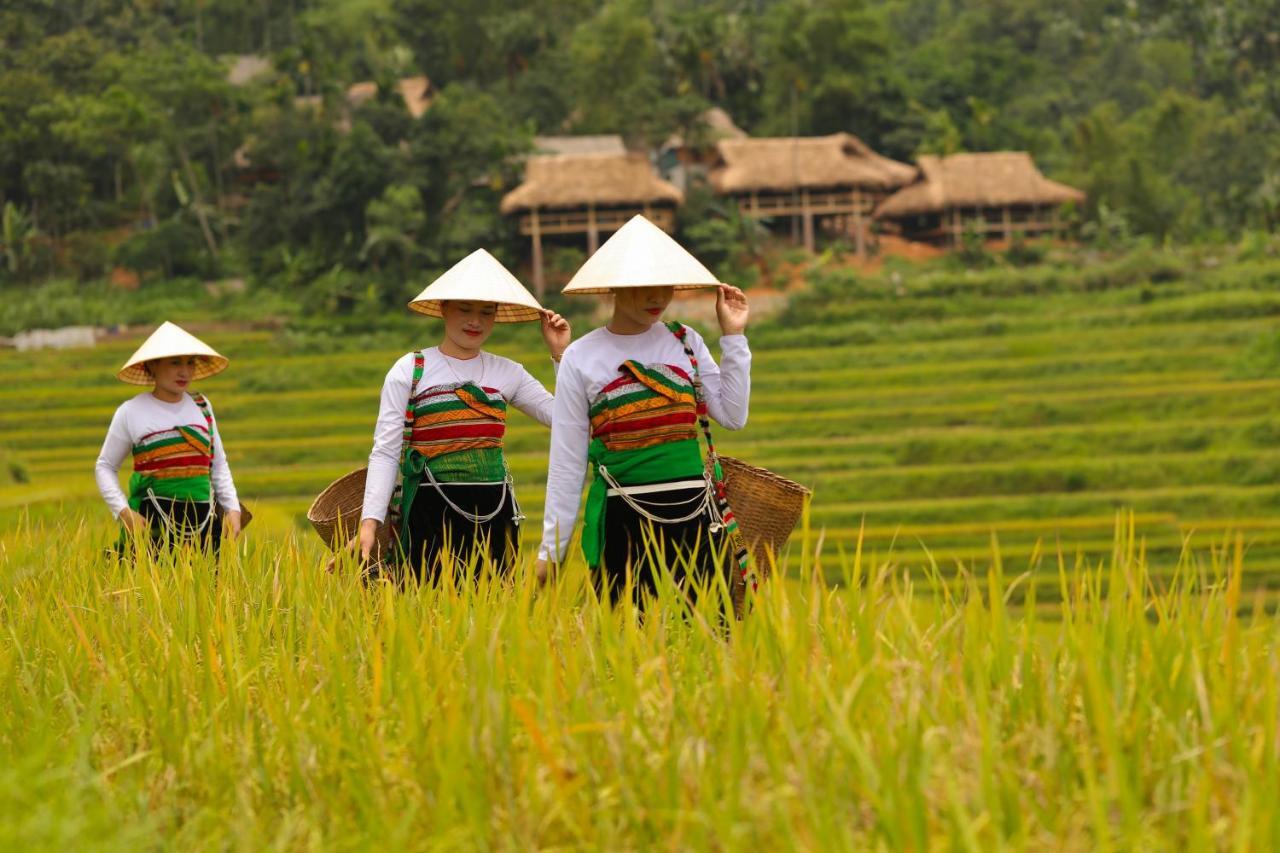 Pu Luong Natura Экстерьер фото